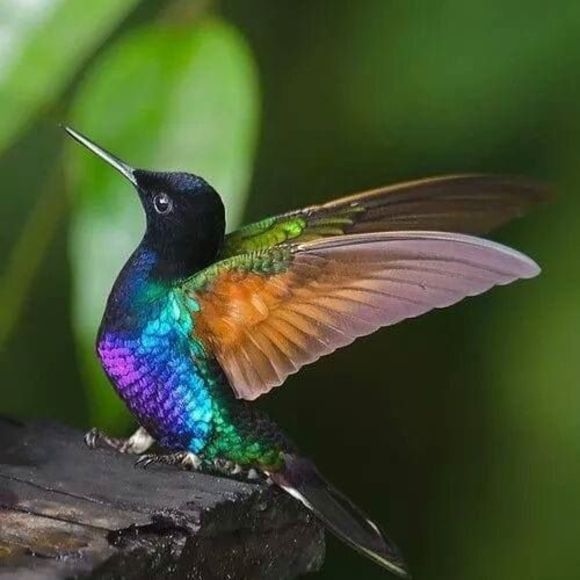 Meet your Posher, Heather - Picture 1 of 1